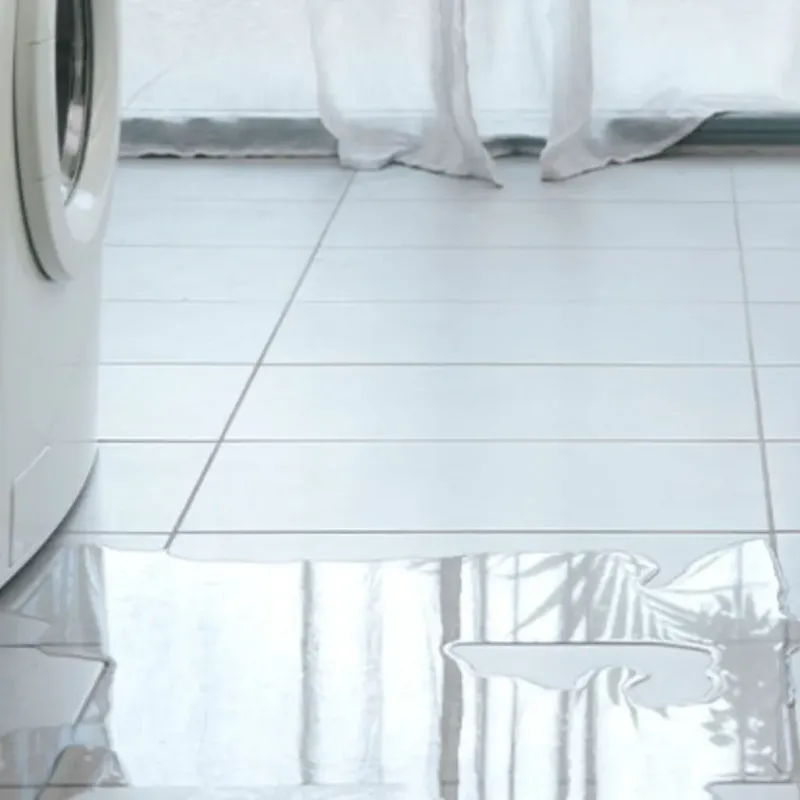 Appliance Leak Cleanup in Sheboygan County, WI