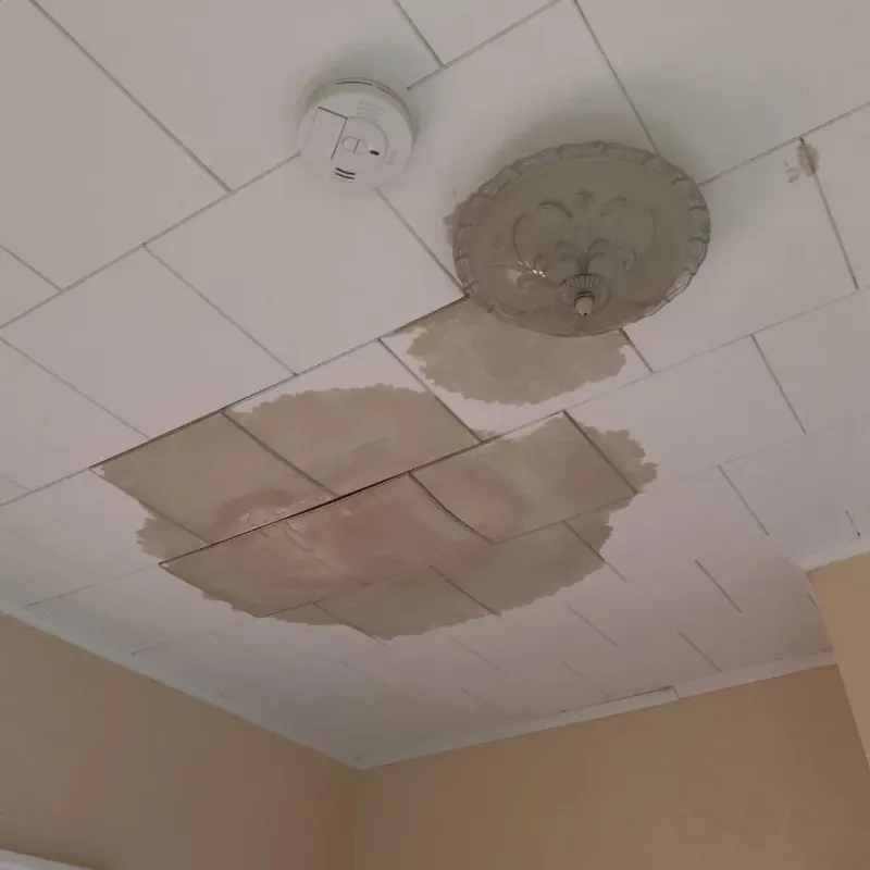 Ceiling Water Damage Repair in Sheboygan County, WI