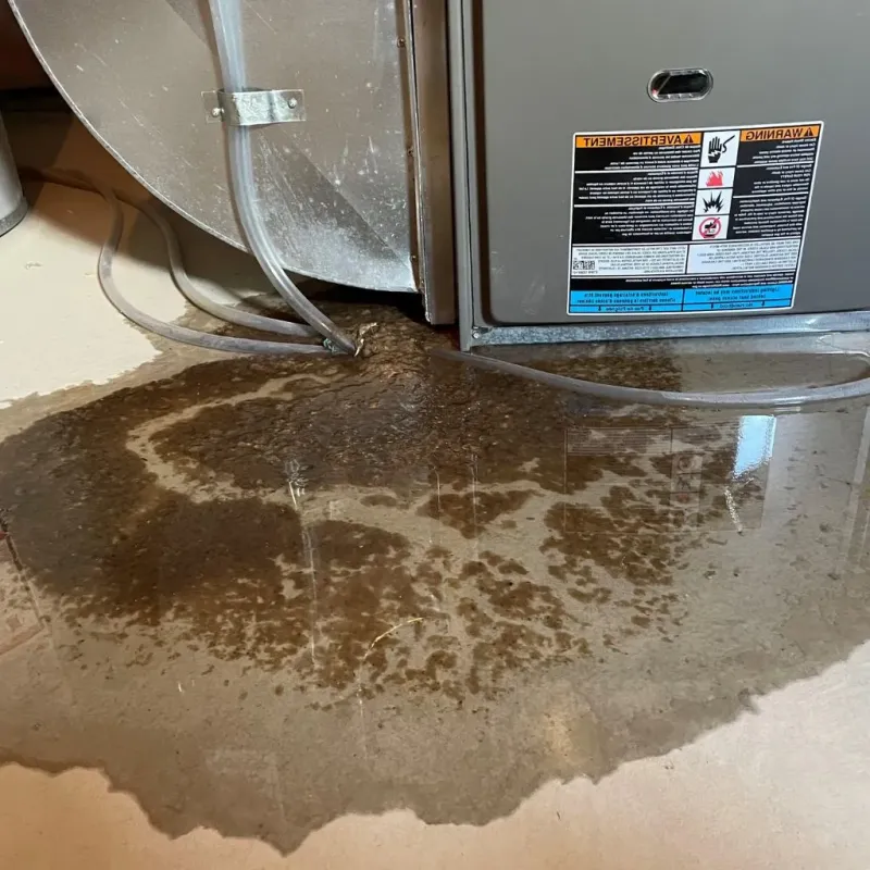Pipe Burst and Leak Restoration in Sheboygan County, WI